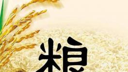 全球糧食市場異動，每個人都要提前應對了！