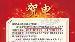 又是海螺水泥！創造世界水泥行業奇跡！