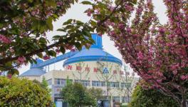 為打造花園工廠！這家水泥企業投資近億元！