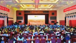 中建材在全球承接379條水泥生產(chǎn)線、市場占有率超過65%！