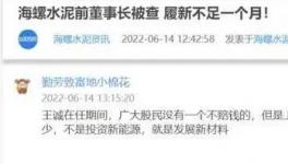 海螺蒸發1300億，逾700億元投資或存變數！