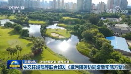 環保政策加嚴！氨逃逸不超標這些企業做到了！